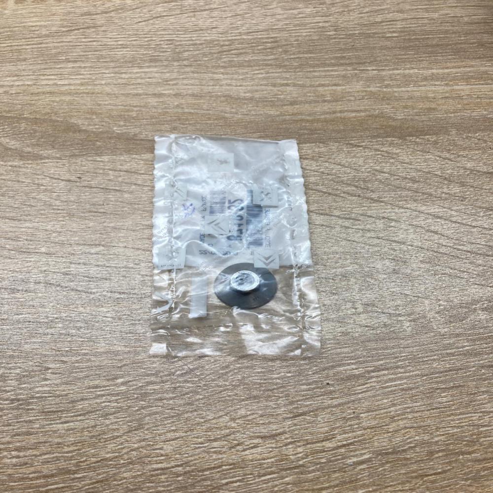 871832   Nuts/bolts Peugeot 307