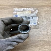 9695121   Wheel nut cap/cover Saab 9-3 Ver2