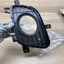 A1698850922   Front fog light trim/grill Mercedes-Benz A W169