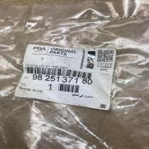 9825137180   Front brake pad spring Citroen C5