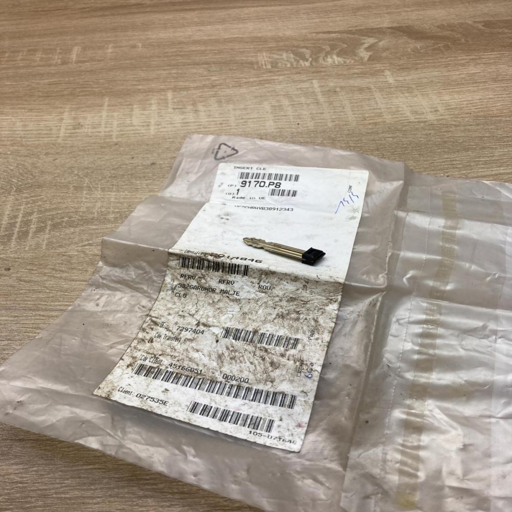 9170P8   Ignition key/card Peugeot 406