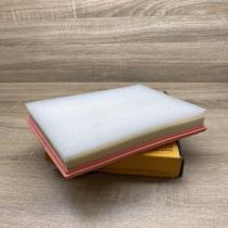 9813908880 C24036 AP196/9 Air filter Opel Corsa F