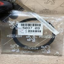 503709   Other engine part Peugeot Partner