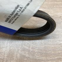 5PK869   Alternator belt Subaru Forester SH