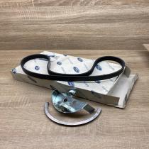 1354256 4M5Q 6D314 DA  Alternator belt Ford Focus