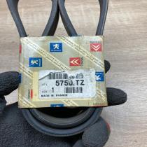 5750TZ   Timing belt Peugeot 307