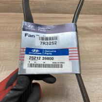 25212 39800   Alternator belt Hyundai Terracan