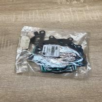 ENT410003   Vacuum pump Volkswagen Golf V