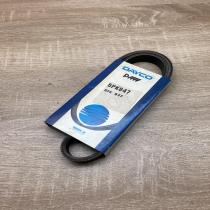 5PK847   Timing belt Peugeot 605