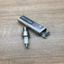 7700500012   Spark plug Renault Clio I