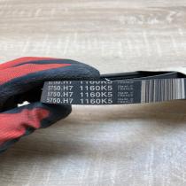 5750H7 1160K5  Alternator belt Citroen XM