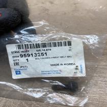 95913251 0789415301  Nuts/bolts Opel Mokka