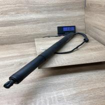 7361878 182022 10  Tailgate strut BMW X5 F15