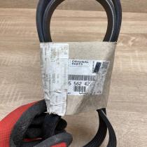 55562422   Alternator belt Opel Corsa E